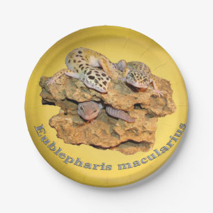 Leopard gecko design for all! paper plate