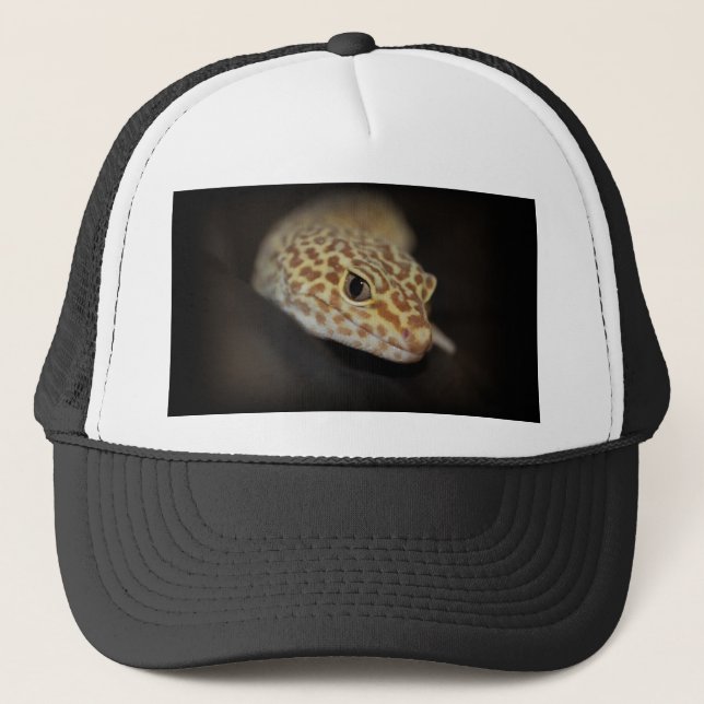 Leopard Gecko Hat (Front)