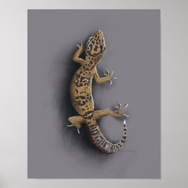 Leopard gecko lizard poster (Front)