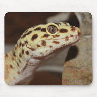Leopard Gecko Mousepad