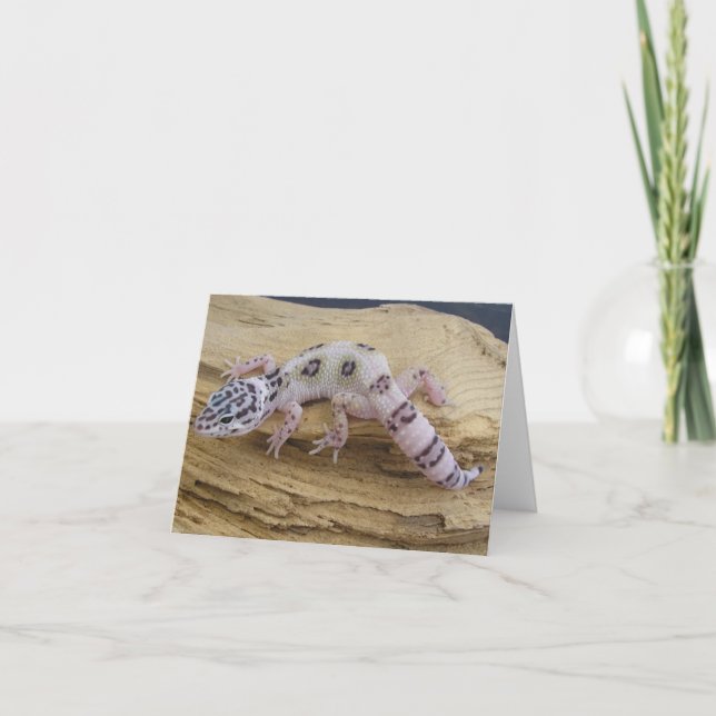 Leopard Gecko Note Card (Front)