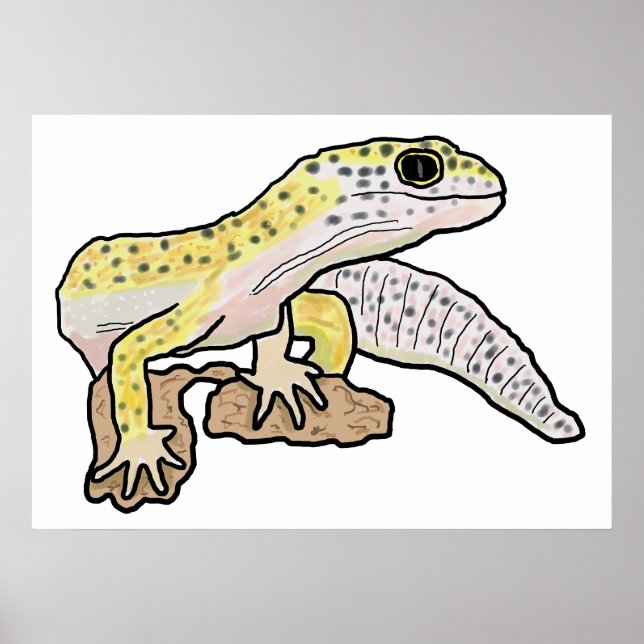 Leopard Gecko Poster (Front)