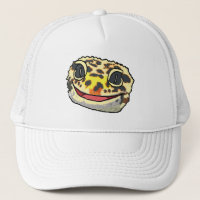 Leopard Gecko