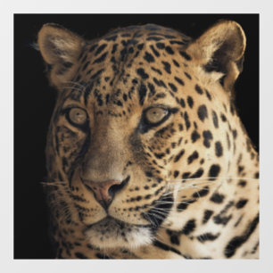 LEOPARD GLASS WINDOW CLING