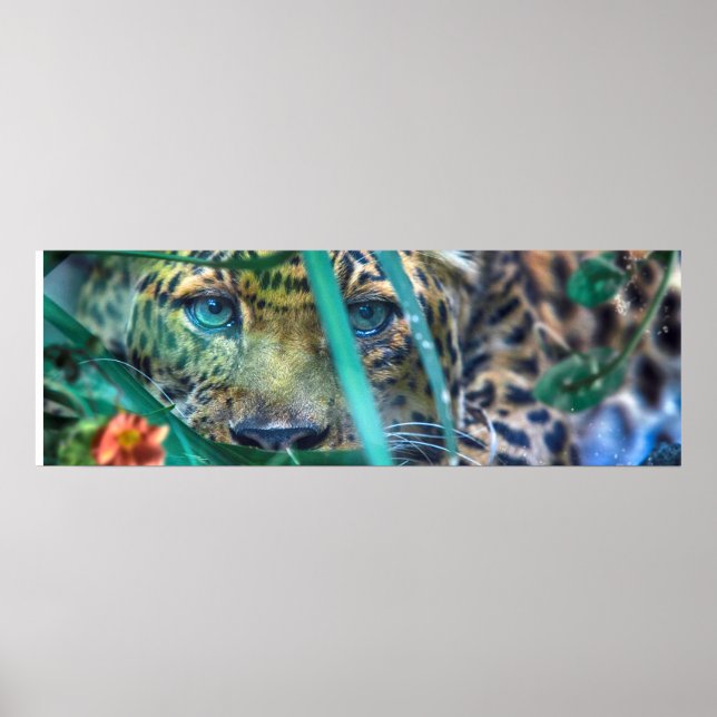 LEOPARD GREEN EYES GAZER POSTER (Front)