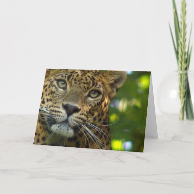 Leopard Greeting Card (Front)