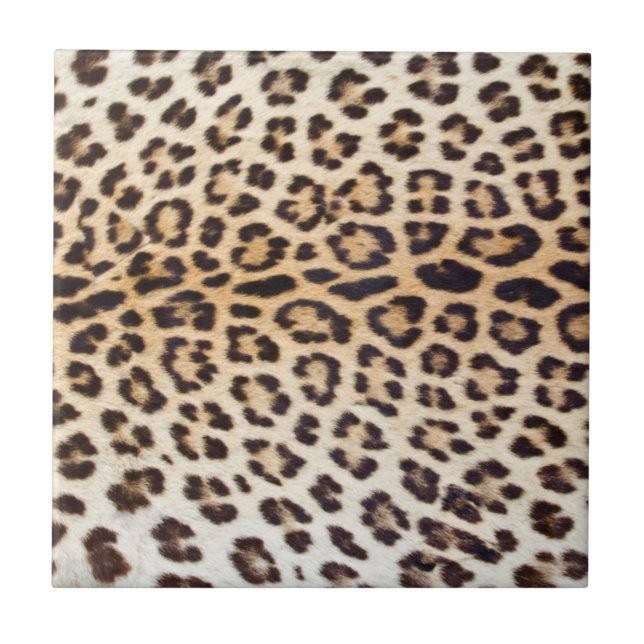 Leopard hair ceramic tile (Front)