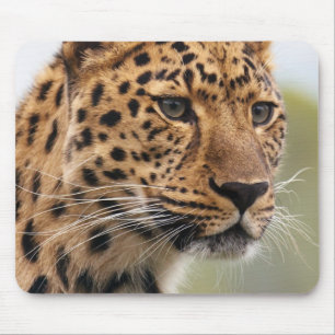 Leopard Head Shot Mouse Pad