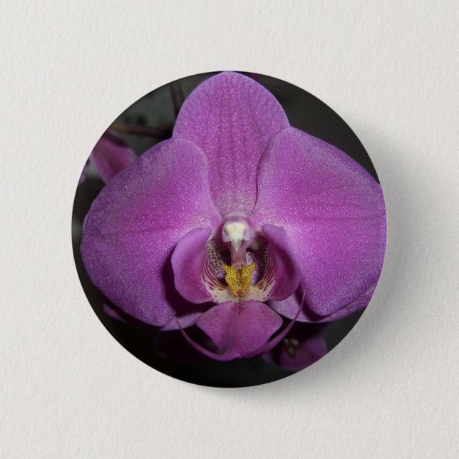 Leopard Head Yellow Purple Orchid 6 Cm Round Badge (Front)
