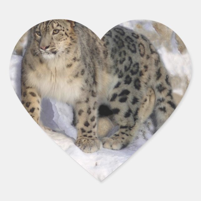 Leopard Heart Sticker (Front)