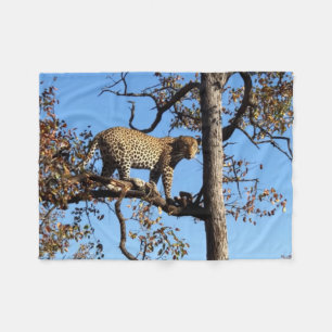 Leopard in a Tree in Africa Fleece Blanket