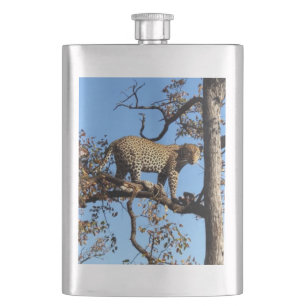 Leopard in a Tree in Africa Hip Flask
