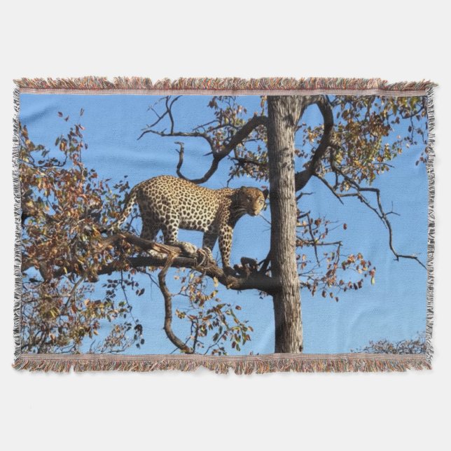 Leopard in a Tree in Africa Throw Blanket (Front)