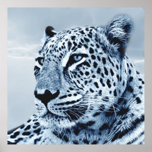 Leopard in Black and White Poster