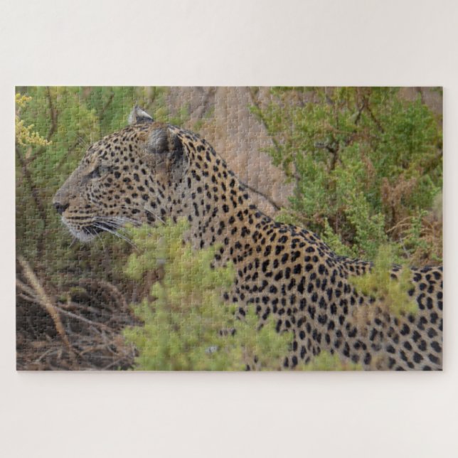 Leopard in Kenya Africa Puzzle (Horizontal)