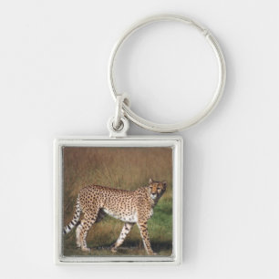 Leopard in plain key ring