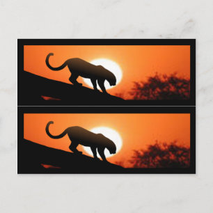 Leopard in Tree bookmarks Postcard