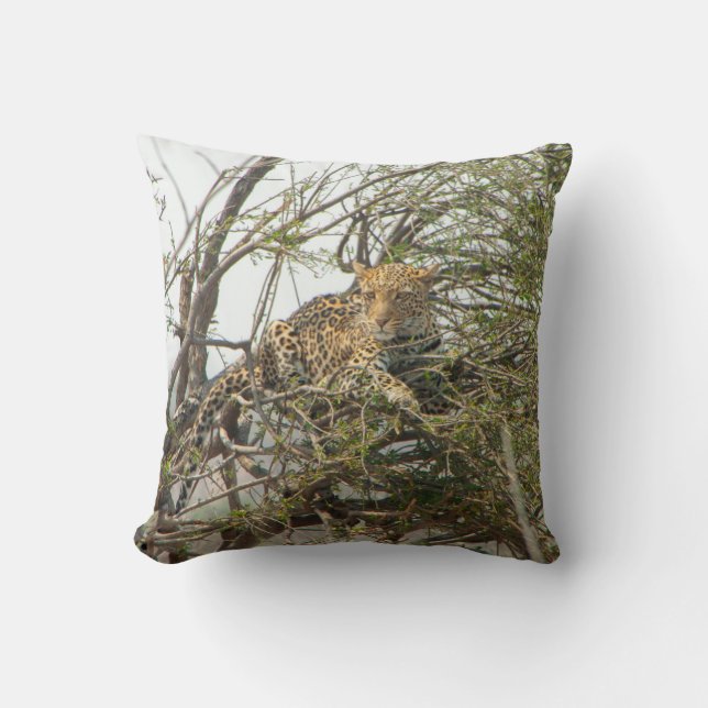 Leopard in Tree Cushion (Front)