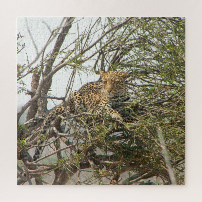 Leopard in Tree Jigsaw Puzzle (Vertical)