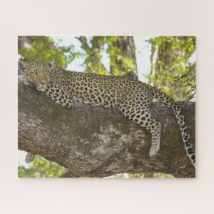 Leopard in Tree Nature Photo Jigsaw Puzzle