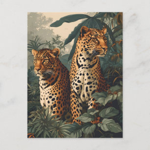 Leopard Jungle: Vintage Postcard