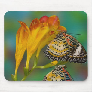 Leopard Lacewing tropical butterflies (Cethosia Mouse Pad