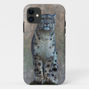 Leopard Lookout iPhone 5 Case