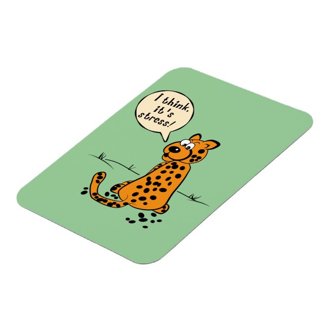 Leopard losing spots - I think it's stress Magnet (Left Side)