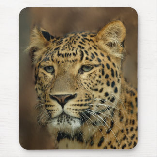 leopard lovers art mouse pad