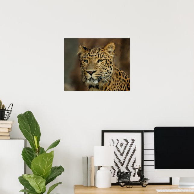 Leopard Lovers Art Poster (Home Office)