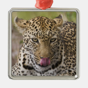 Leopard Metal Ornament