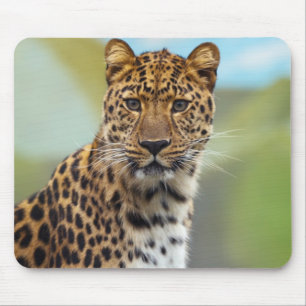 Leopard Mouse Pad