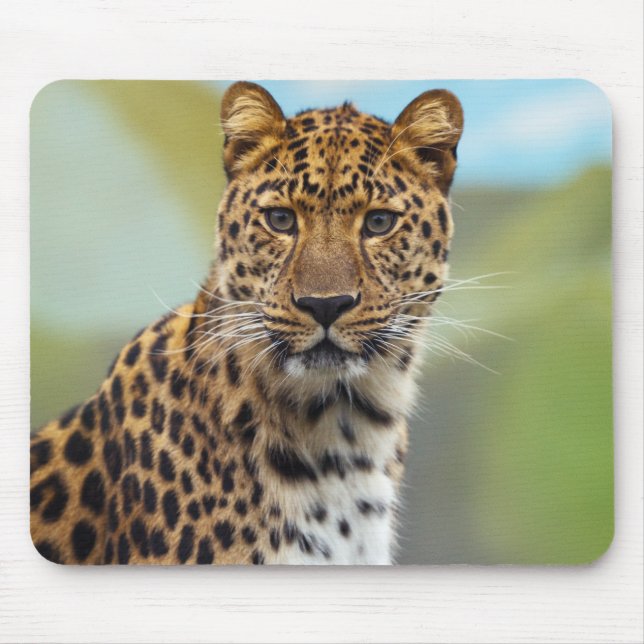 Leopard Mouse Pad (Front)