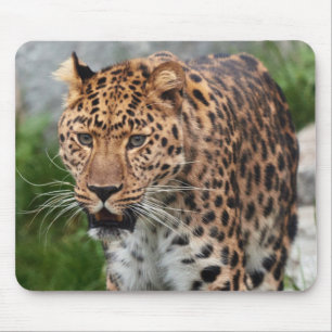 Leopard Mouse Pad