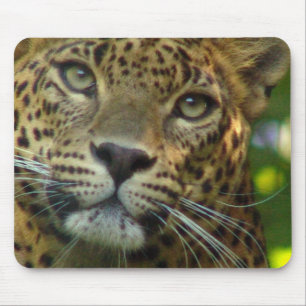 Leopard Mouse Pad