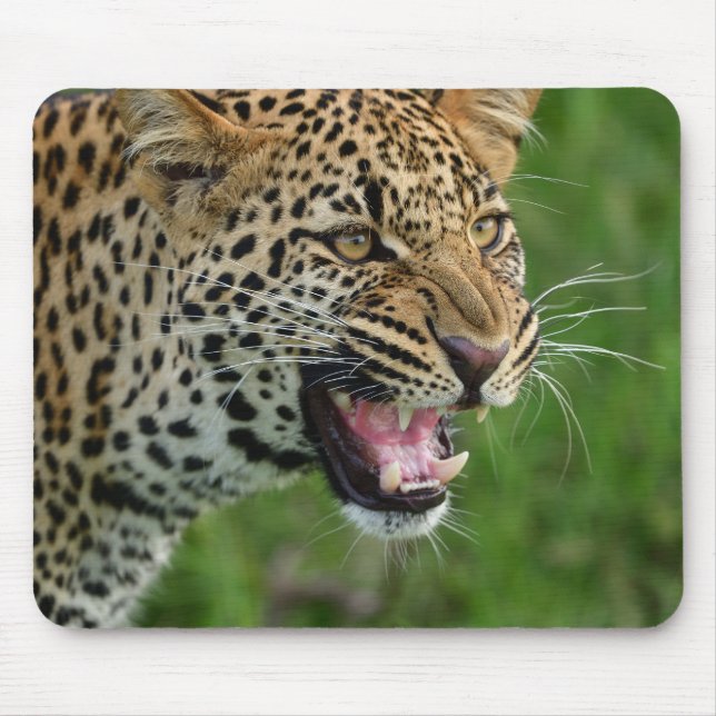 leopard, nature, wildlife mouse pad (Front)