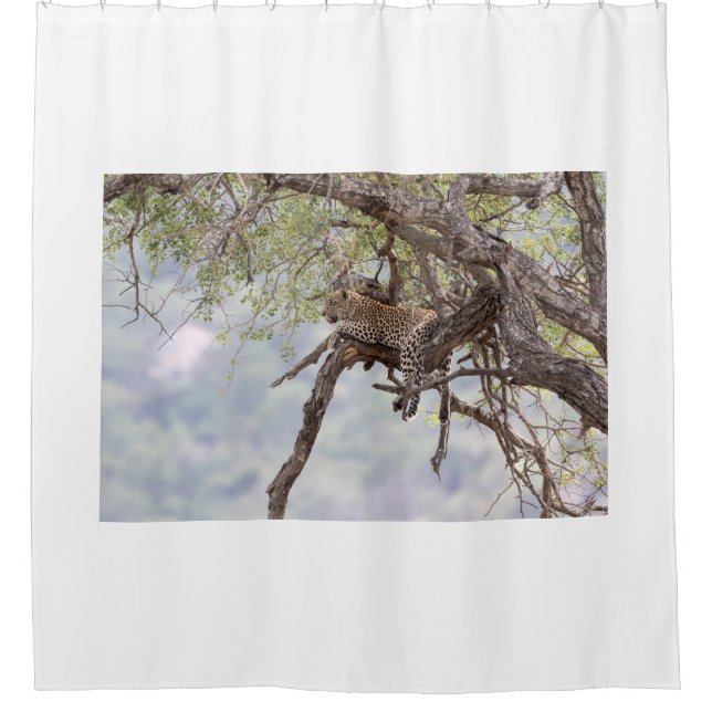 Leopard on a tree shower curtain (Front)