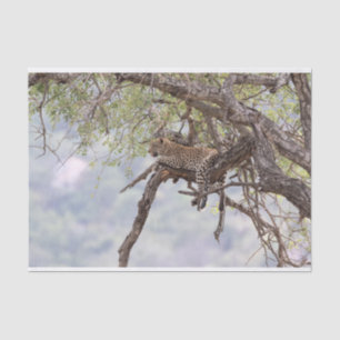Leopard on a tree tissue paper