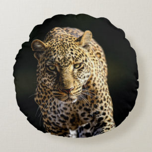 Leopard on the Prowl Round Cushion