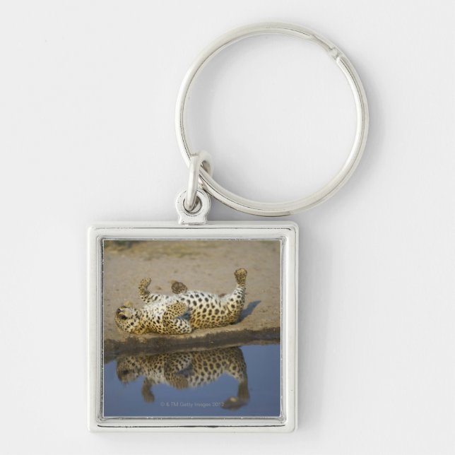 Leopard (Panthera pardus) female rolling on Key Ring (Front)