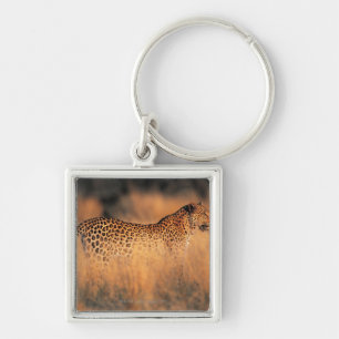 Leopard (Panthera pardus) Key Ring