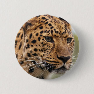Leopard Photo 6 Cm Round Badge
