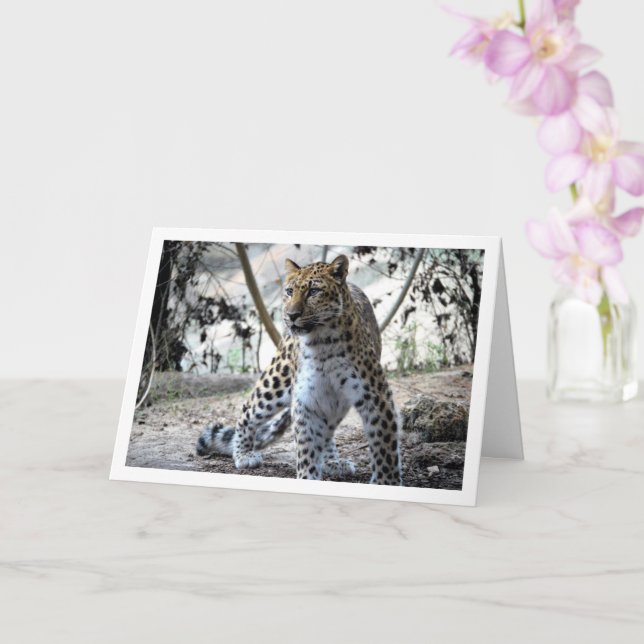 Leopard Portrait Card (Orchid)