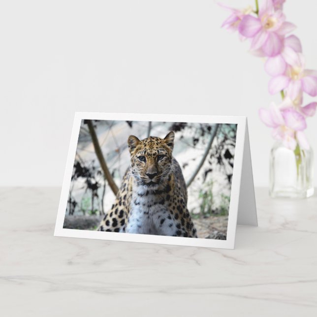 Leopard Portrait Card (Orchid)