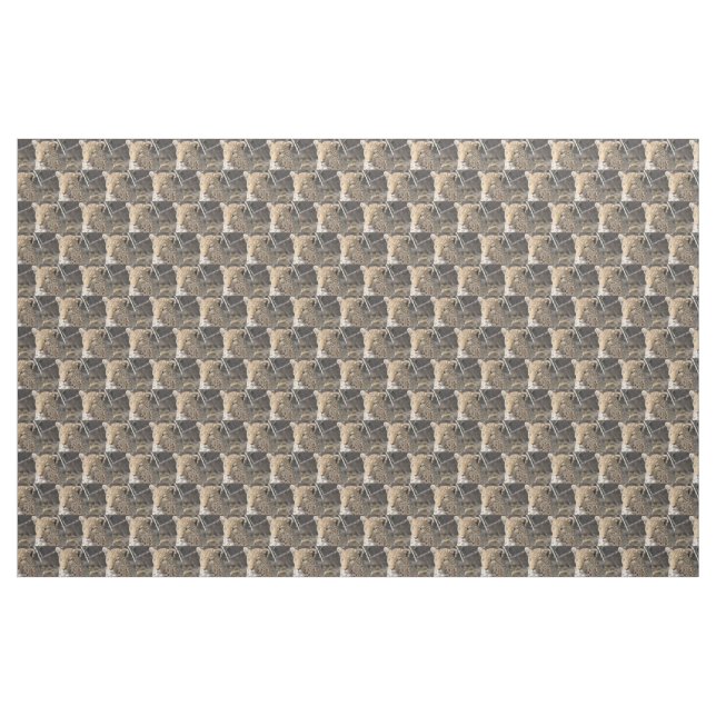 Leopard portrait fabric (Yard)