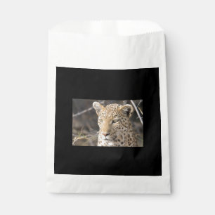 Leopard portrait favour bag
