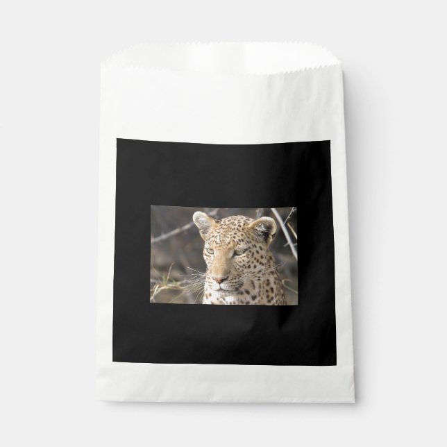 Leopard portrait favour bag (Front)