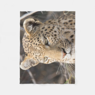 Leopard portrait fleece blanket