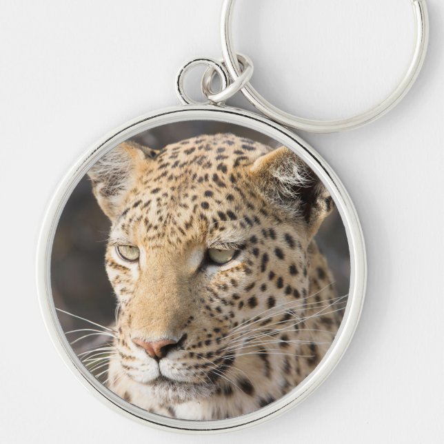 Leopard portrait key ring (Front)
