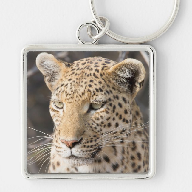 Leopard portrait key ring (Front)